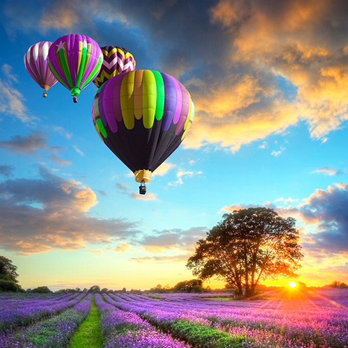 Hendrerit Condimentum